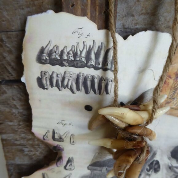 OOAK NEW HORROR VAMPIRE DRACULA KILLING SLAYING KIT PROP SUITCASE GAFF ODDITY - Picture 10 of 15